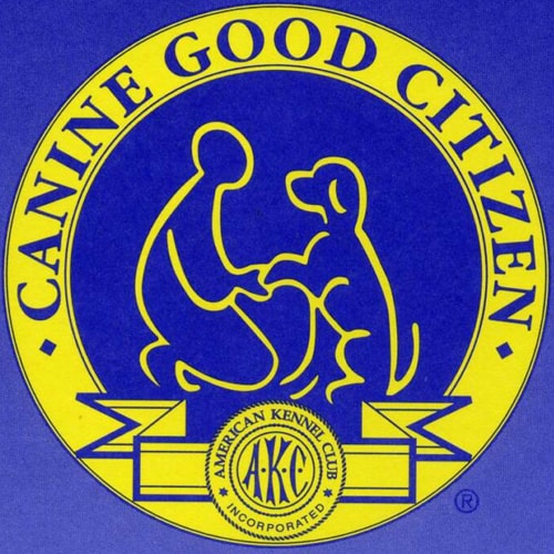 Canine Good Citizen Prep Class