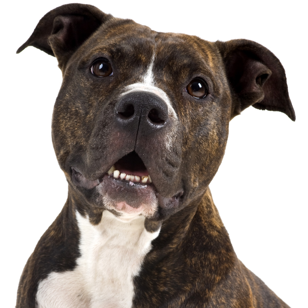 R&R Group Class EXTENSION