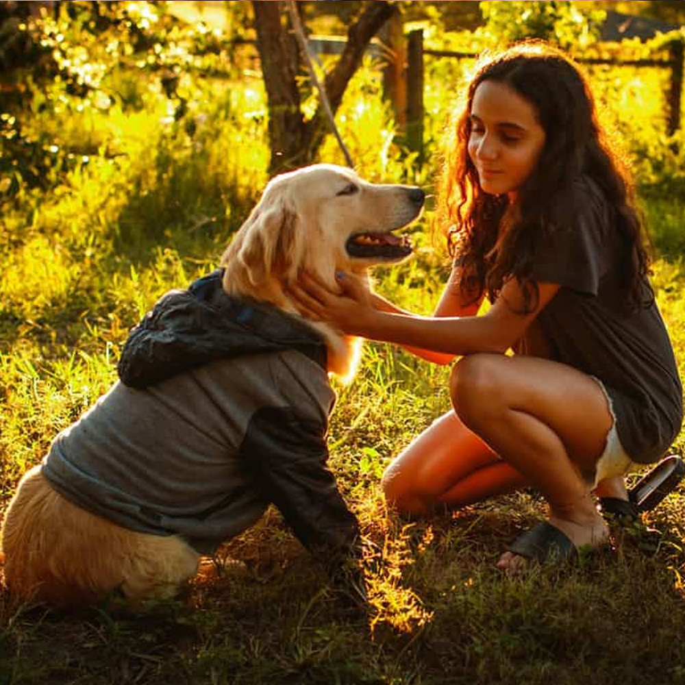 Polite Greetings<br>(Family Dog Essentials)