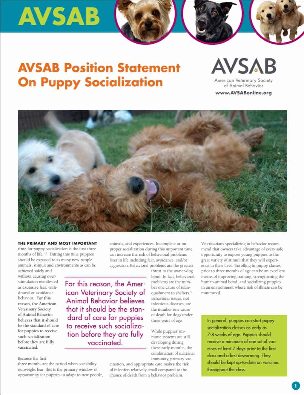 AVSAB Position Statement on Puppy Socialization